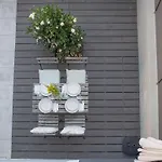 Villa Allegro Patio House *